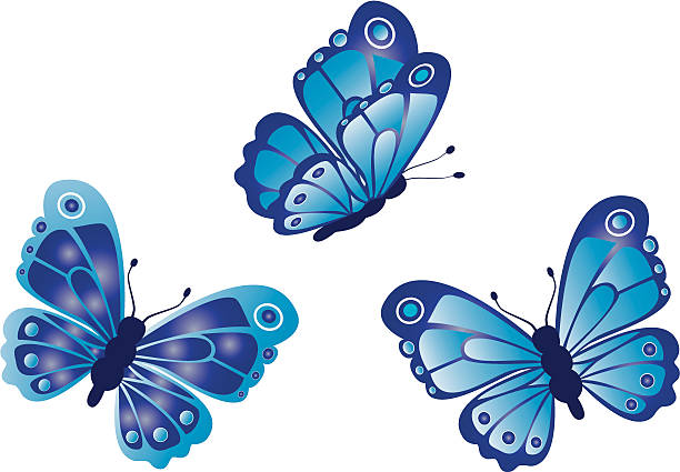 butterfly vector art illustration