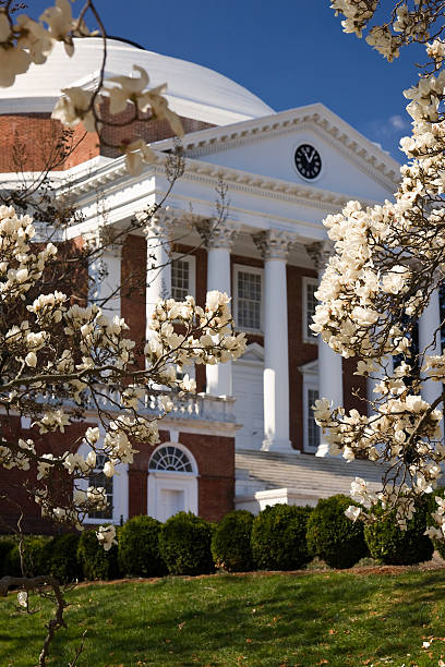 rotunda em uva na primavera - plant white magnolia tulip tree imagens e fotografias de stock