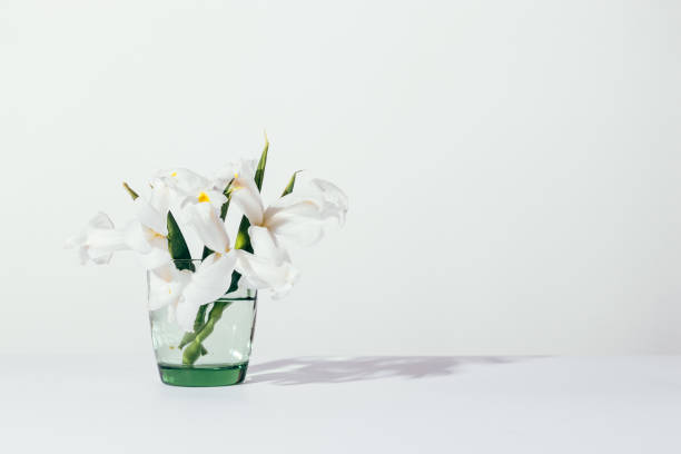 istock Stylish spring or summer flowers in vase 949874910
