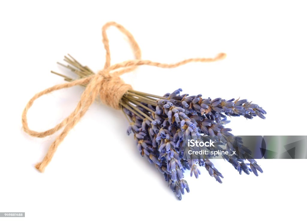 Piccolo Bouquet Di Lavanda Essiccata - Fotografie stock e altre immagini di  Aromaterapia - Aromaterapia, Bellezza, Blu - iStock