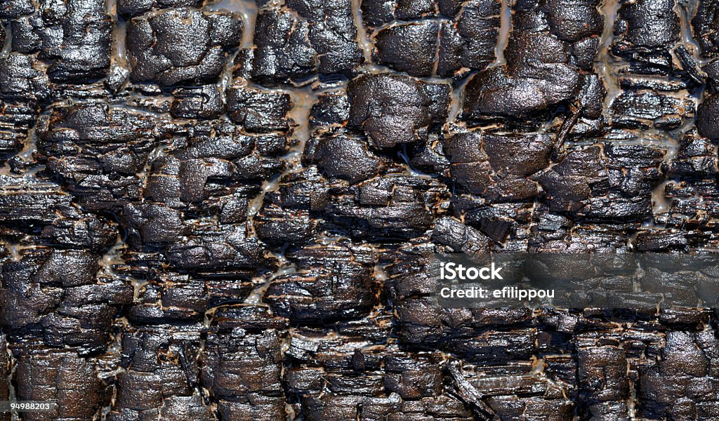 Bloque de madera Bañado en aceite - Foto de stock de Abstracto libre de derechos