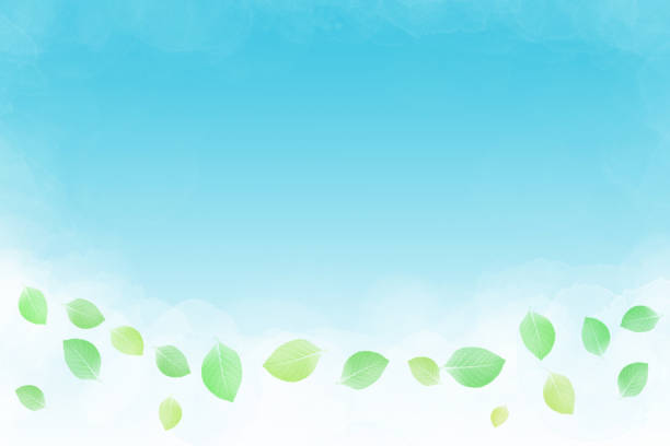 istock fresh green leaf abstract on watercolor paint blue sky background 949884168