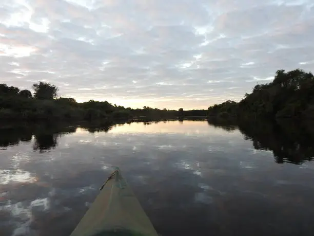 Sunrise paddle in the Pantanal with clouds reflecting in the water