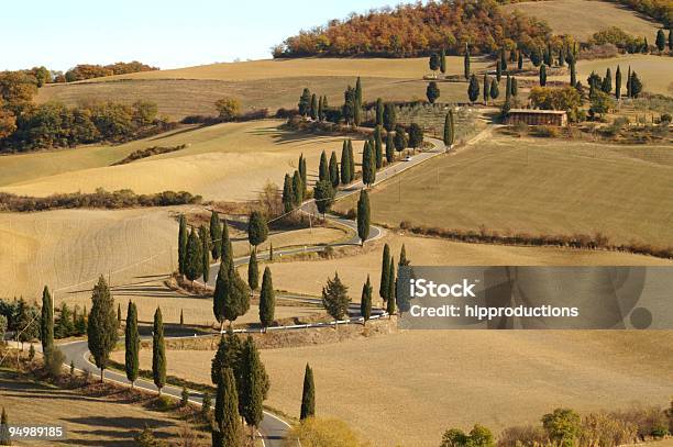 Toskanische Landschaft Stockfoto und mehr Bilder von Abgeschiedenheit - Abgeschiedenheit, Agrarbetrieb, Baum