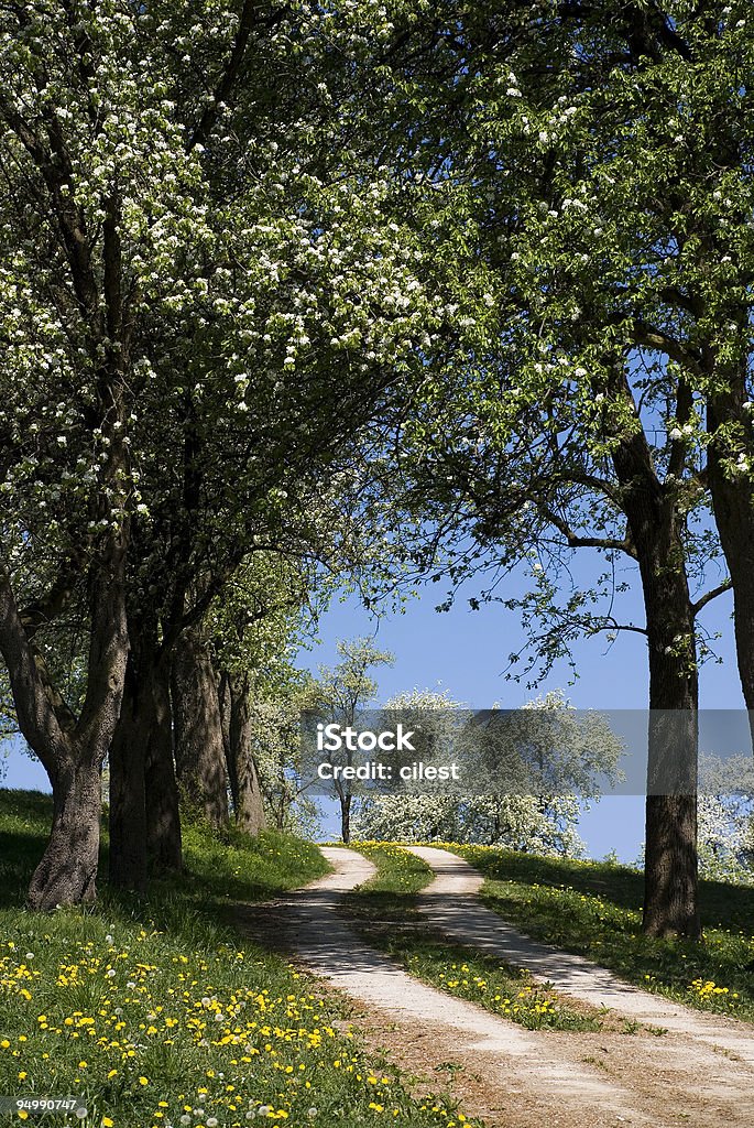 Austríaco paisaje de primavera - Foto de stock de Aire libre libre de derechos