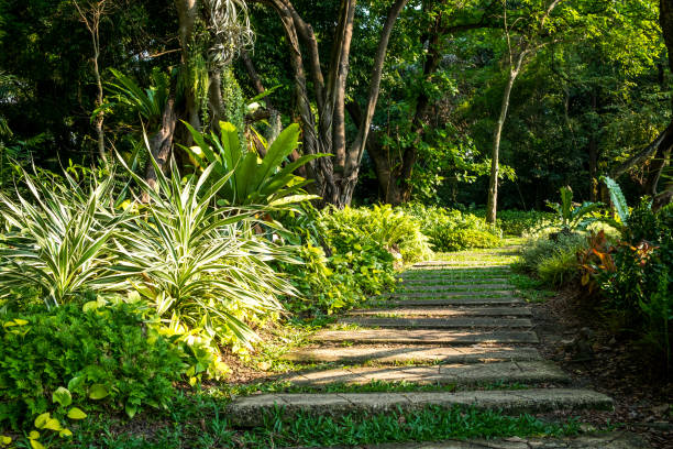 istock Landscaping in the garden,walkway from cement sheet 949912156