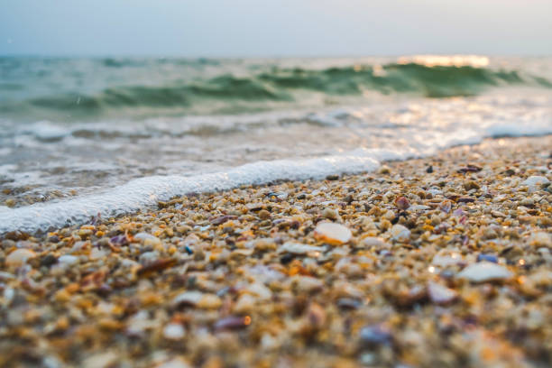 istock Tropical beach with wave,blue sky on golden beach sand in sunset light 949921020