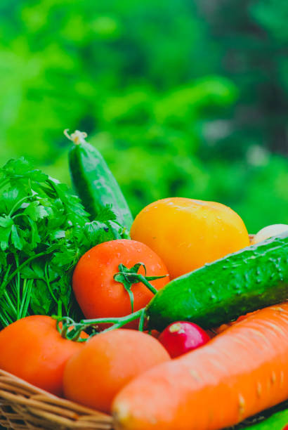 istock Fresh organic vegetables in the basket 949924674