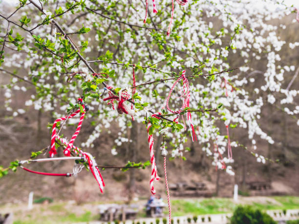 Springtime blossom tree with bulgarian martenitza hanging on it