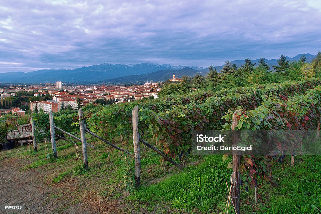 Paesaggio paese grapevine, Pinerolo Italia - Foto stock royalty-free di Provincia di Torino