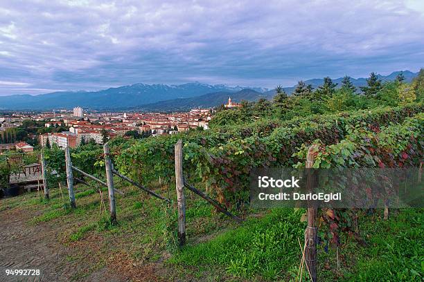 Paesaggio Paese Grapevine Pinerolo Italia - Fotografie stock e altre immagini di Provincia di Torino - Provincia di Torino, Vite - Flora, Pinerolo