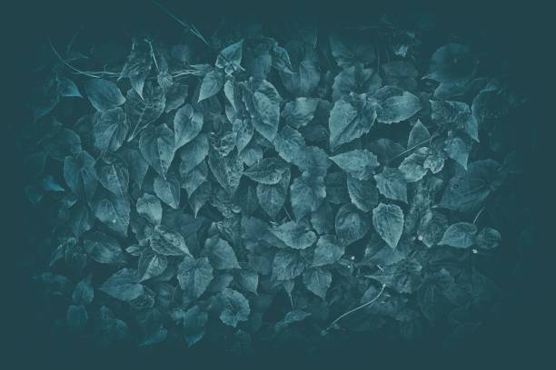 istock Leaves Background in Dark Contrast with Vintage Style. 949929434