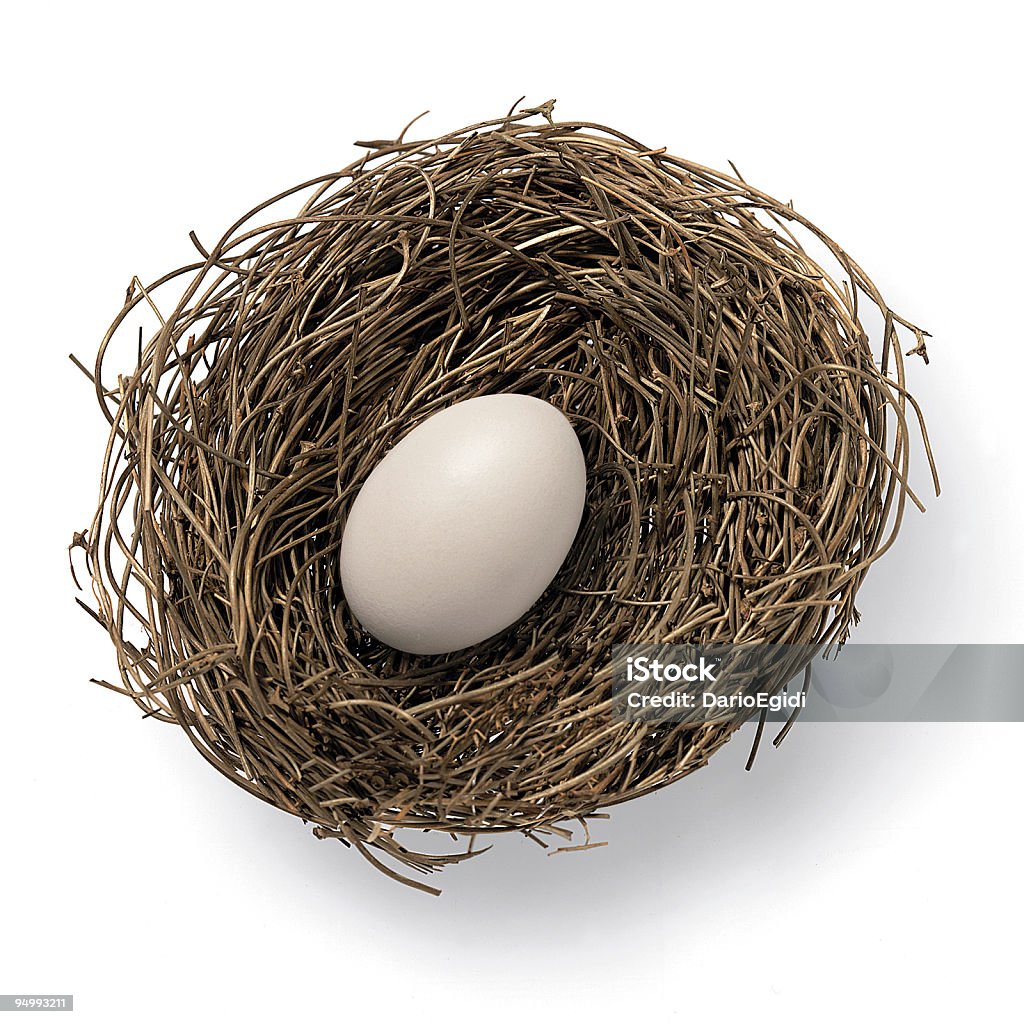Oggetti nest egg-Modo di dire inglese - Foto stock royalty-free di Animale