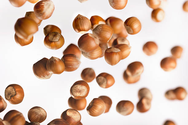 Rain of hazelnuts with shell, high shutter speed, white background stock photo