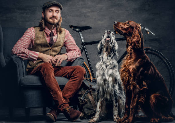 um homem com cães setter de irlanda. - place setting fotos - fotografias e filmes do acervo