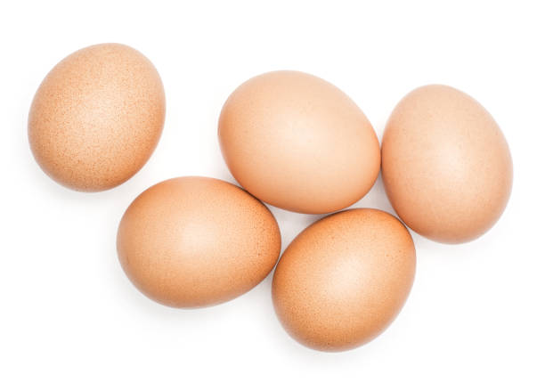 huevo de gallina fresco aislados en blanco - oval shape fotos fotografías e imágenes de stock