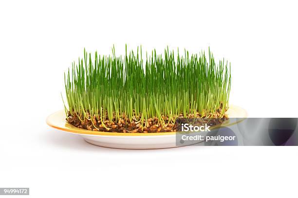 Fresh Grain On A Plate Stock Photo - Download Image Now - Agricultural Field, Agriculture, Brown