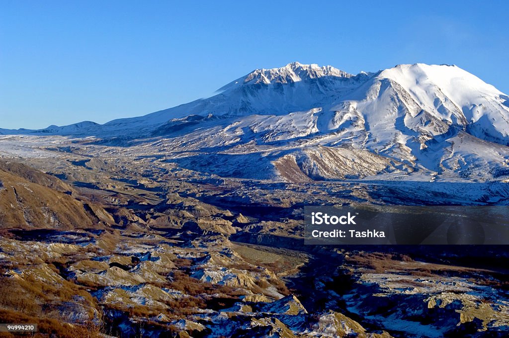 Monte St. Helens - Foto stock royalty-free di Albero sempreverde