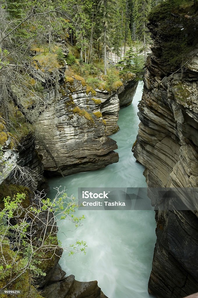 Wodospad Athabasca Falls - Zbiór zdjęć royalty-free (Akwamaryn)