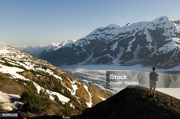 Photo libre de droit de Glacier Salmon Alaska banque d'images et plus d'images libres de droit de Admirer le paysage - Admirer le paysage, Alaska - État américain, Animaux à l'état sauvage