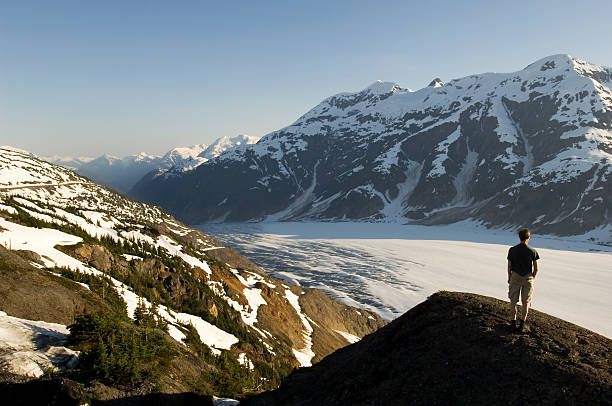 Salmon Glacier, Alaska  alaskan icefield stock pictures, royalty-free photos & images