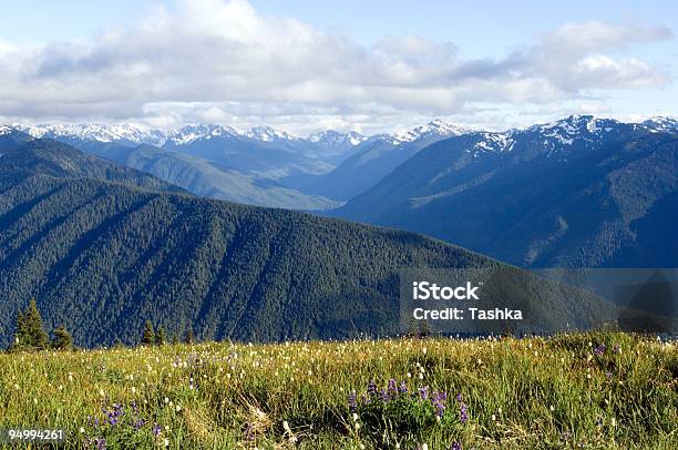 Hurricane Ridge Stock Photo - Download Image Now - Activity, American Culture, Cascade Range