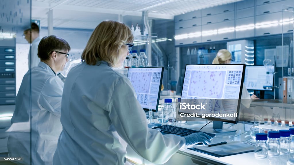 Feminino e masculino cientistas trabalhando em seus computadores em grande moderno laboratório. Várias prateleiras com copos de vidro, produtos químicos e equipamento técnico diferente é visível. - Foto de stock de Laboratório royalty-free