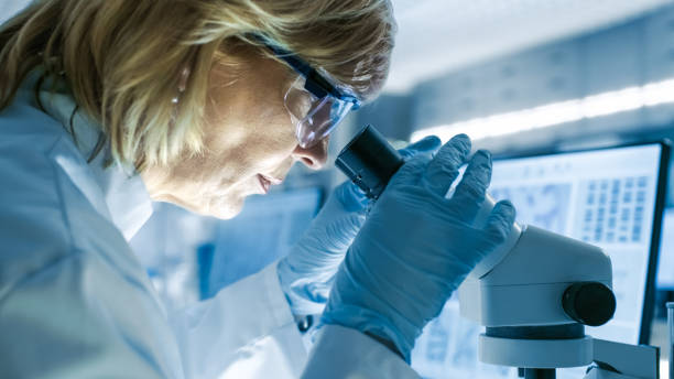 istock Senior Female Biologist Works on Her Computer and Looks at Materials under Microscope. She's in a Modern Laboratory. 949947166