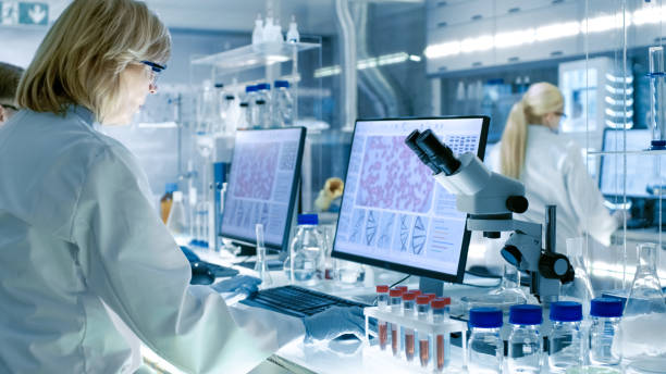 senior female scientist works with high tech equipment in a modern laboratory. her colleagues are working beside her. - medical research laboratory microscope genetic research imagens e fotografias de stock