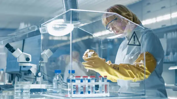 Senior Female Epidemiologist Works with Samples in Isolation Glove Box. She's in a Modern, Busy Laboratory Equipped with State of the Art Technology.