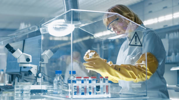 epidemiologista feminina sênior trabalha com amostras em caixa de luva de isolamento. ela está em um laboratório moderno, ocupado equipada com tecnologia de ponta. - equipped - fotografias e filmes do acervo