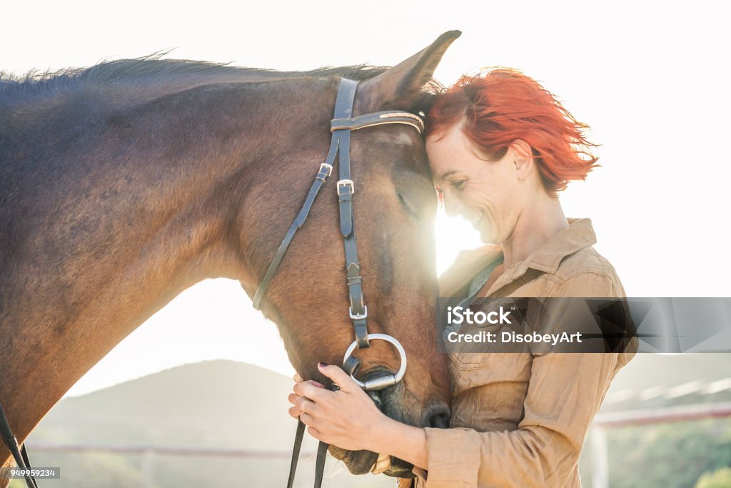 Mujer joven agricultor abrazando a su caballo - concepto sobre el amor entre personas y animales - centrarse en ojo chica - Foto de stock de Caballo - Familia del caballo libre de derechos