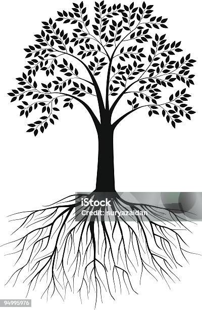 木のシルエット - シルエットのベクターアート素材や画像を多数ご用意 - シルエット, 樹木, イラストレーション