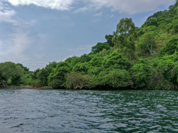 istock Lake Kivu, Rwanda (africa) 949960046