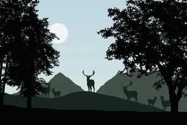 Vector illustration of Herd of fallow deer standing under deciduous trees, vector, with sky with sun and space for your text