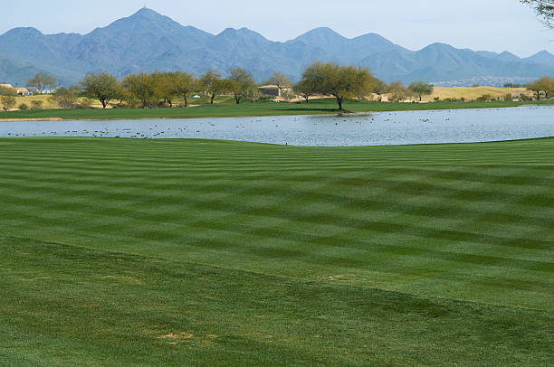 Two golf balls on the green with the pin pulled.