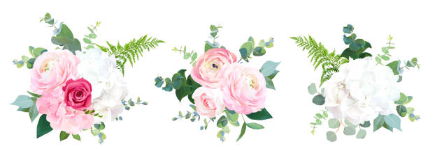 ilustrações de stock, clip art, desenhos animados e ícones de eco style wedding flowers vector design bouquets - hydrangea white flower flower bed