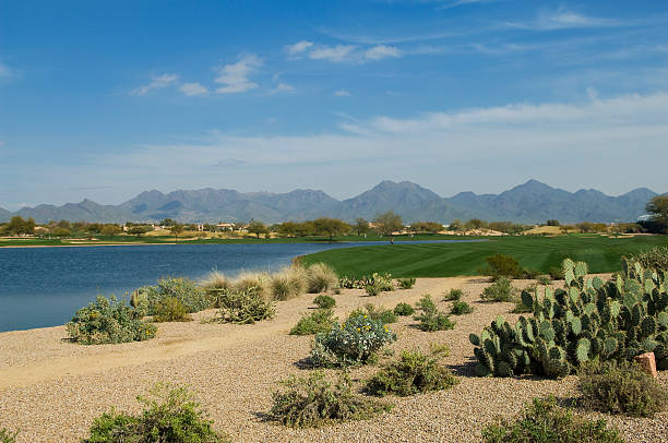 istock Fairway at a Professional Golf Course with Putting Green 94996760