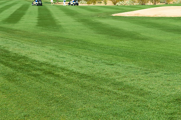 istock Fairway at a Professional Golf Course with Putting Green 94996768