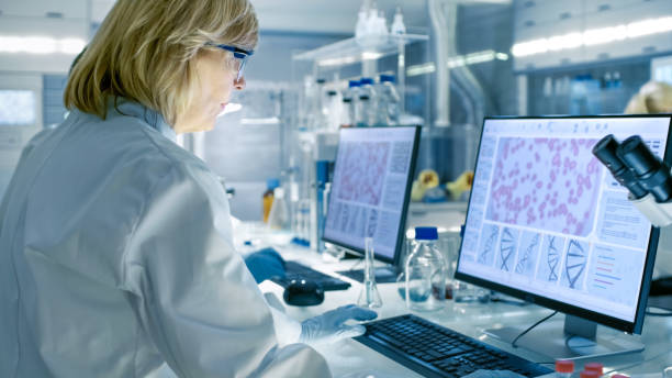 istock Senior Female Scientist Works On Computer in a Modern Laboratory. Her Colleagues are Working Beside Her. 949967784