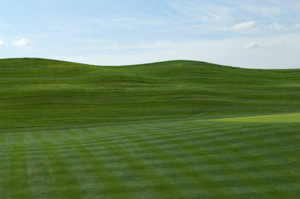 istock Fairway at Professional Golf Course with Putting Green 94996779