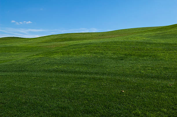 istock Rolling Hills of Green Grass or Lawn 94996780