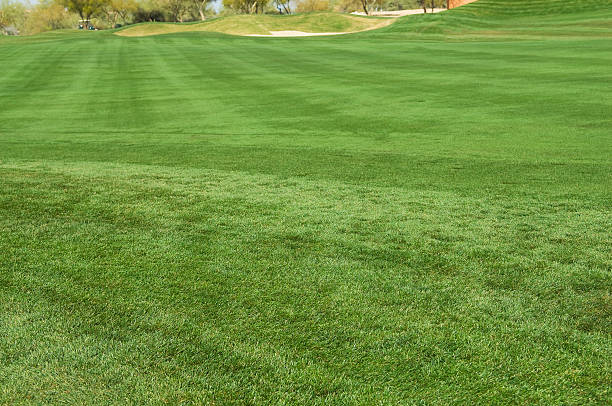 istock Fairway at a Professional Golf Course with Putting Green 94996799