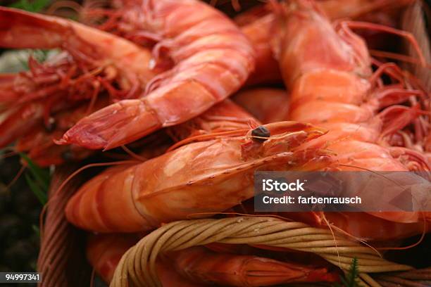 Lagosta Vermelha - Fotografias de stock e mais imagens de Alimentação Saudável - Alimentação Saudável, Almoço, Captura de Peixe