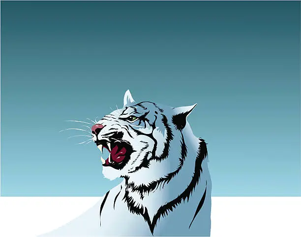 Vector illustration of White tiger