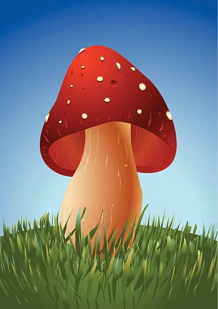 Vector illustration of Toadstool