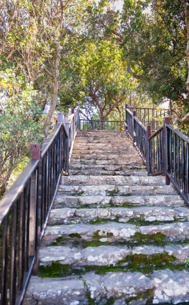 istock old stair from rocks on sardinia island 949982070