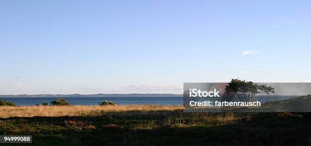 Wybrzeże W Zelandia Odde Dania - zdjęcia stockowe i więcej obrazów Bez ludzi - Bez ludzi, Bezchmurne niebo, Cisza
