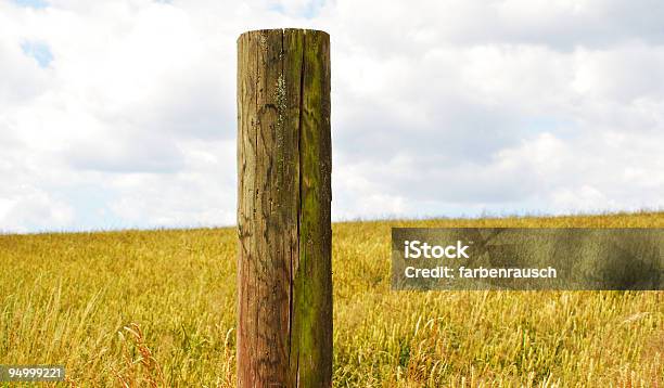 Feld Im Sommer Stockfoto und mehr Bilder von Pfosten - Pfosten, Holz, Agrarbetrieb