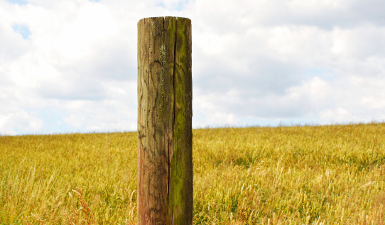 bright summer scene - wooden post with clear details and structure, nice clouds on the horizon